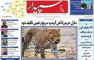 پیام سپیدار