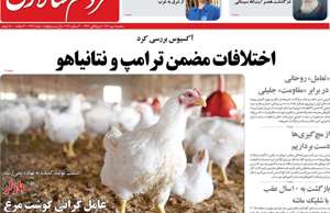 مردم سالاری