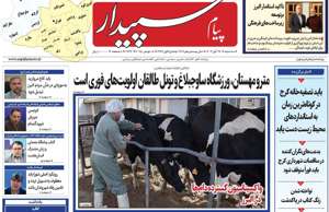 پیام سپیدار